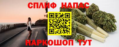 тгк Пенза