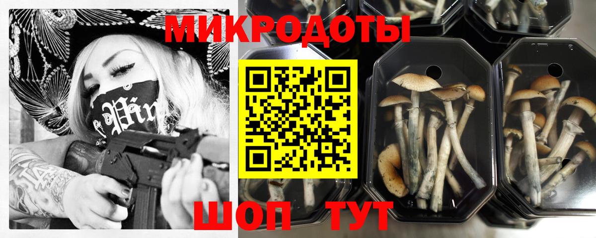 Галлюциногенные грибы MAGIC MUSHROOMS  Галлюциногенные грибы Psilocybine cubensis  Славянск-на-Кубани  Вход с VPN 